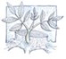 church logo